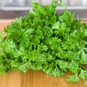 Herbs parsley