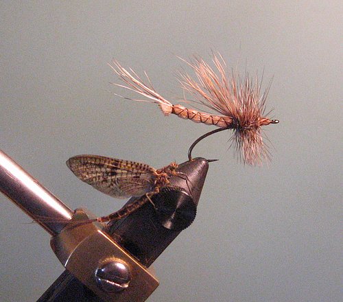 Use a Vise with Fly Fishing Flies