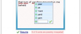 iGoogle Spell Checker