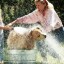Washing Dog