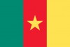 flag of Cameroon
