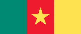 flag of Cameroon