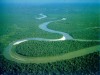 The Amazon River