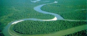 The Amazon River