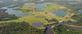 Pantanal