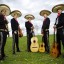 a mariachi band