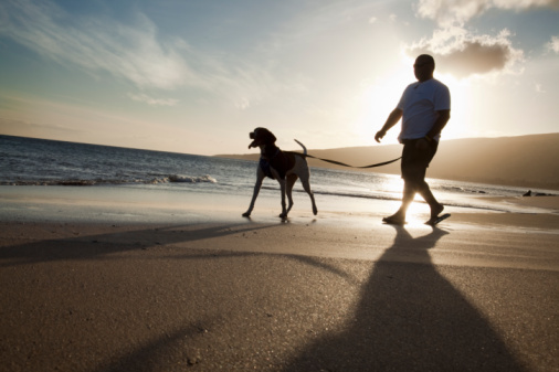 Man walking his dog along beach