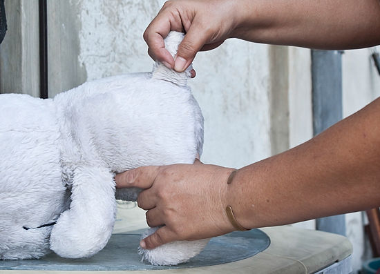 Cleaning stuffed animals