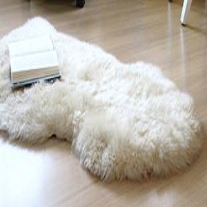 Sheepskin Rug