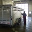 Cleaning an Aluminum Horse Trailer