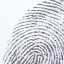 Fingerprint , close-up