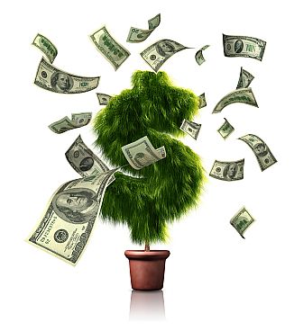 Money tree