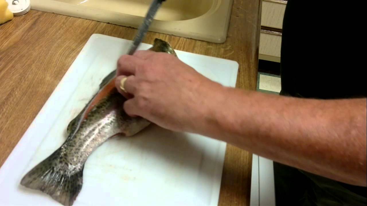 Filleting a Rainbow Trout