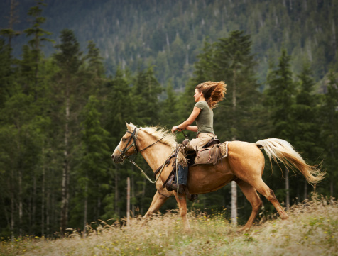 Make Your Horse Walk Faster