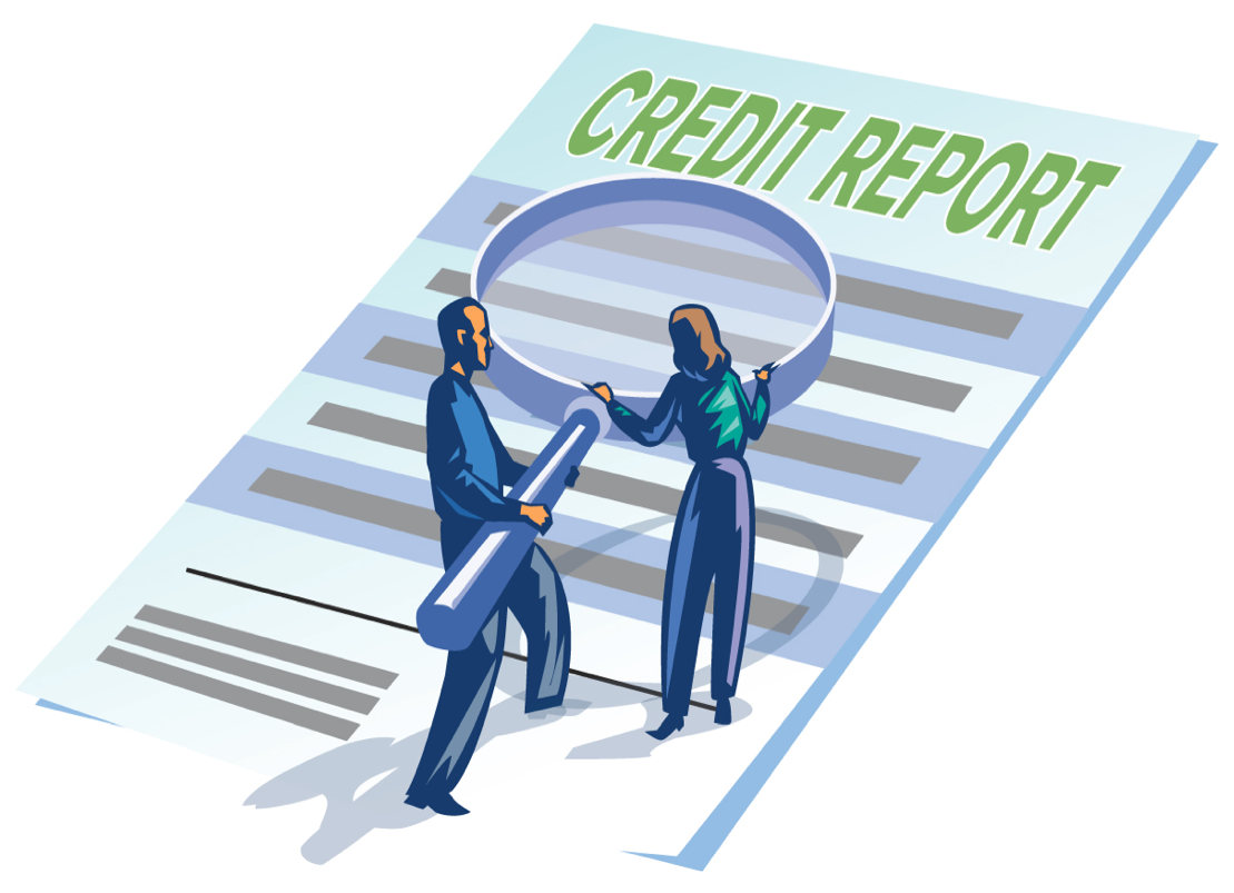 Company Credit report