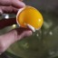 Separating Yolk from the Egg White