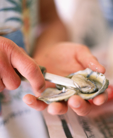 Shuck an Oyster with a Knife