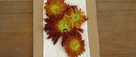 Dry Flowers
