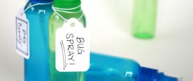 Homemade Bug Spray