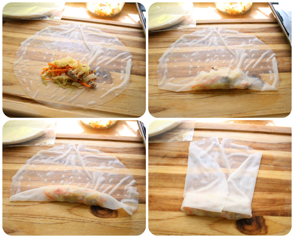 Egg Rolls with Rice Paper