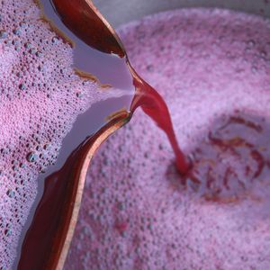How to Make Raspberry Wine at Home