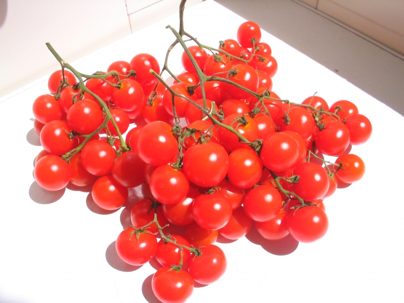 Grape Tomatoes