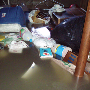 Clean up Flooded Basement