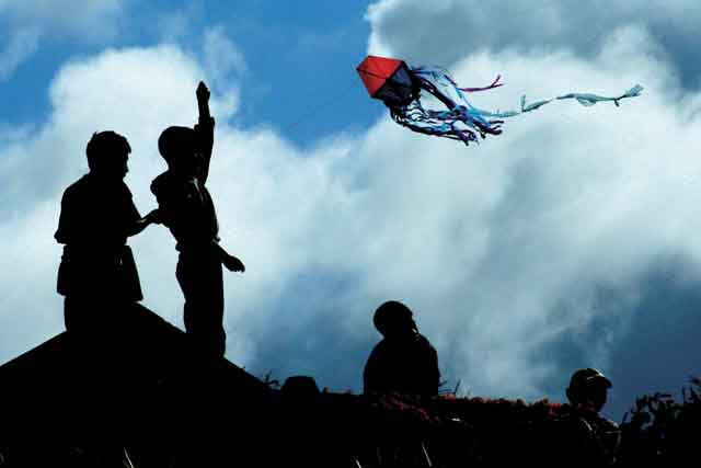 Flying kites with kids