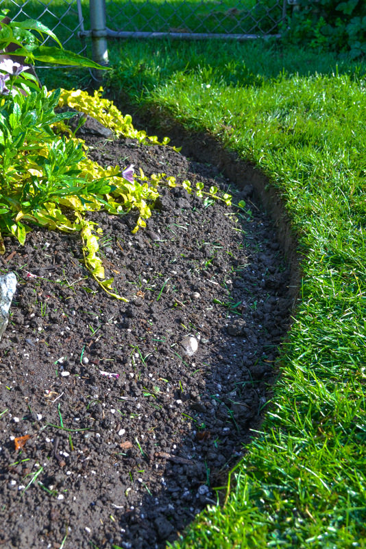 Grass in a flower bed