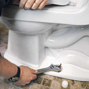 Replace Toilet Flange