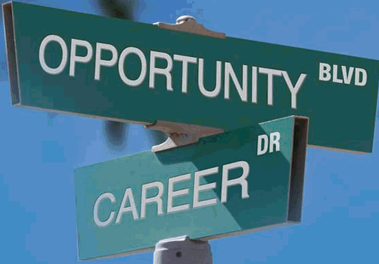 Newer Opportunities