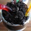 Mud pie pudding with gummy worms