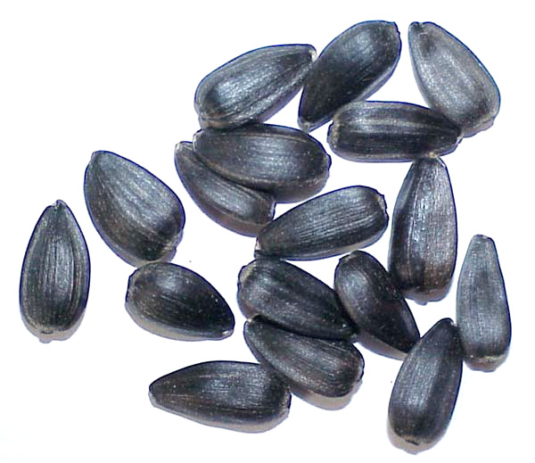 black seeds