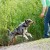 7 Reasons Why You Should Own a Dog