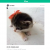 Easy way to get followers on Vine