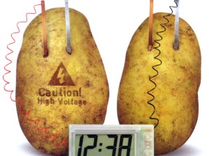 Potato Battery