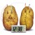 Potato Battery Experiment with Hypothesis and Conclusion