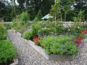 Beautiful-Landscape-Vegetable-Home-Garden