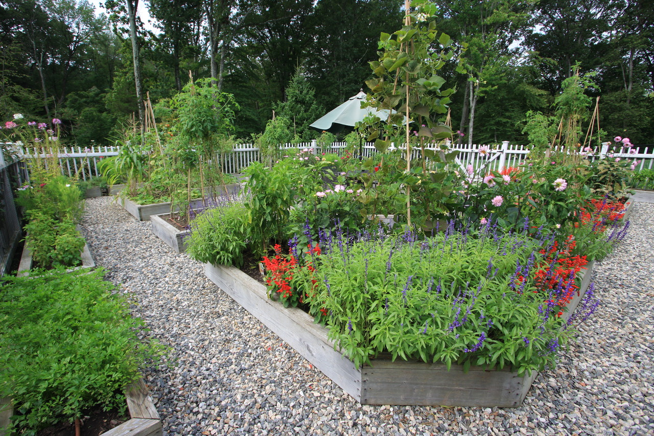 Steps To Maintain A Garden