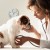 How to Take Care of a Puppy
