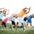 How to perform Shoulder Stretches
