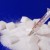 How To Quit Sugar Intake